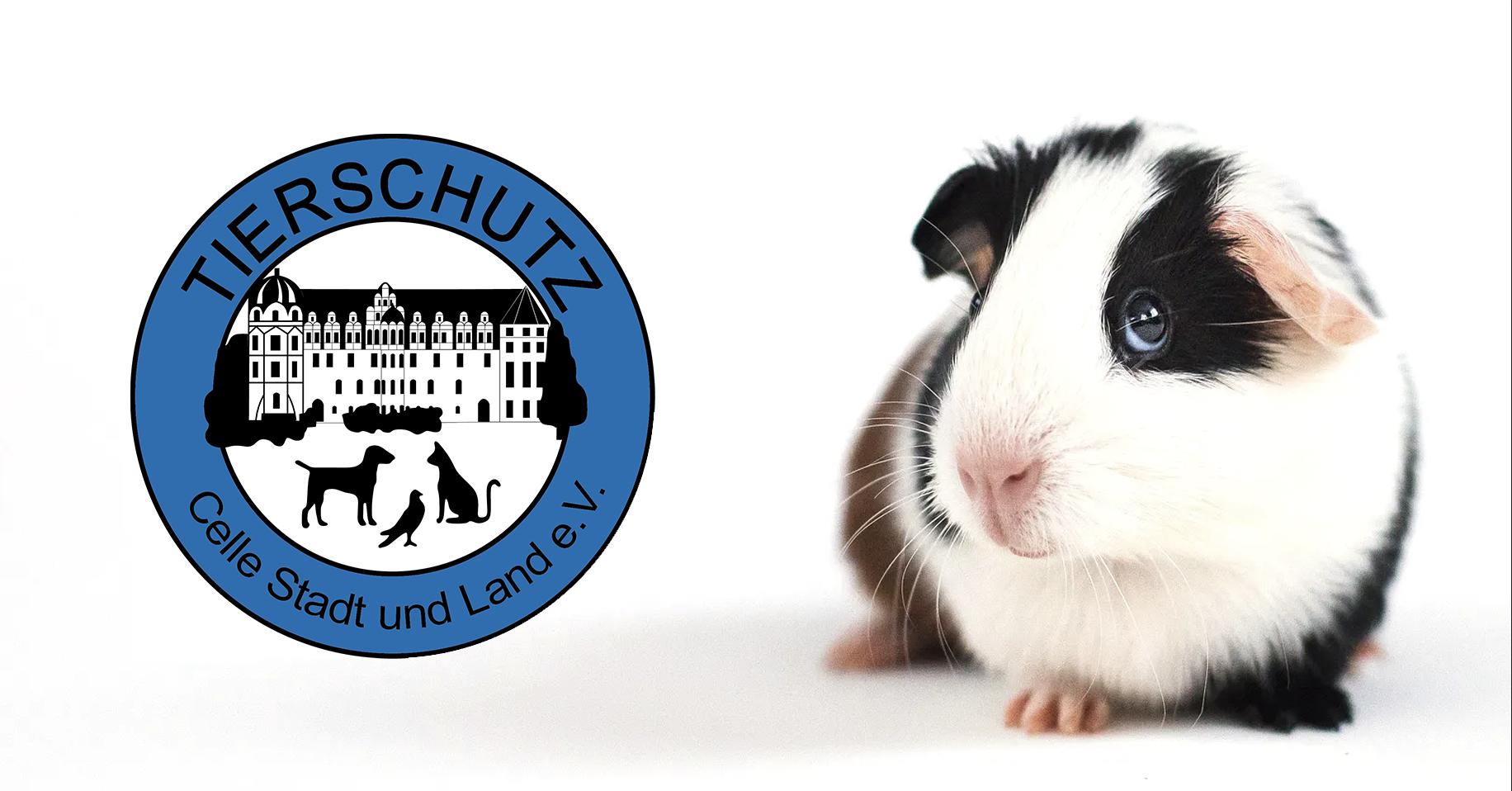 (c) Tierschutz-celle.de
