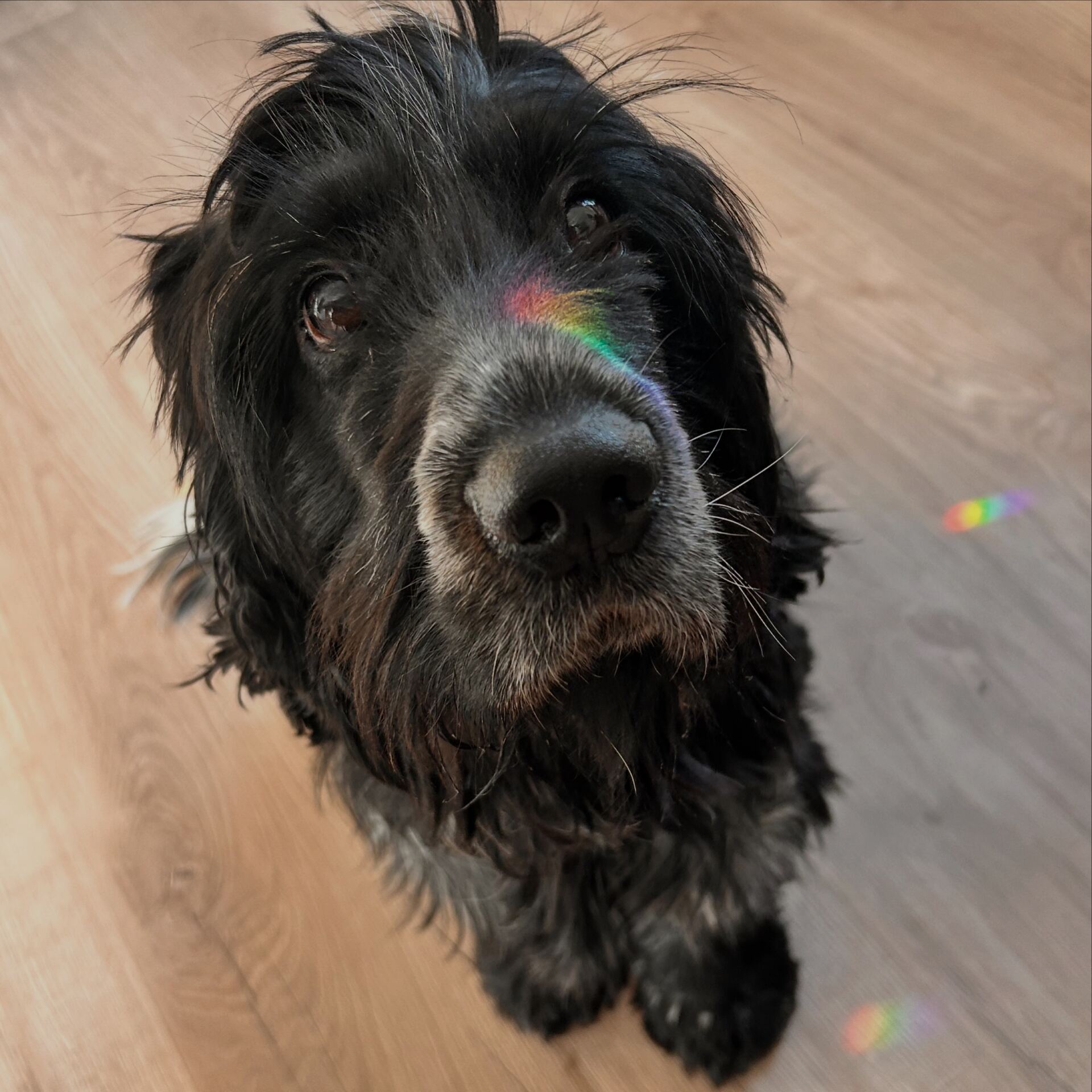 FC1CE64D-137E-47AA-AA31-D732310AE1A8