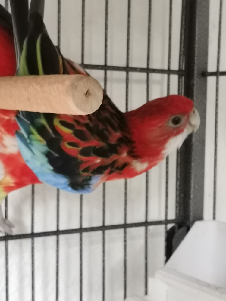 IMG_20251017_132414_resized_20251017_014629003