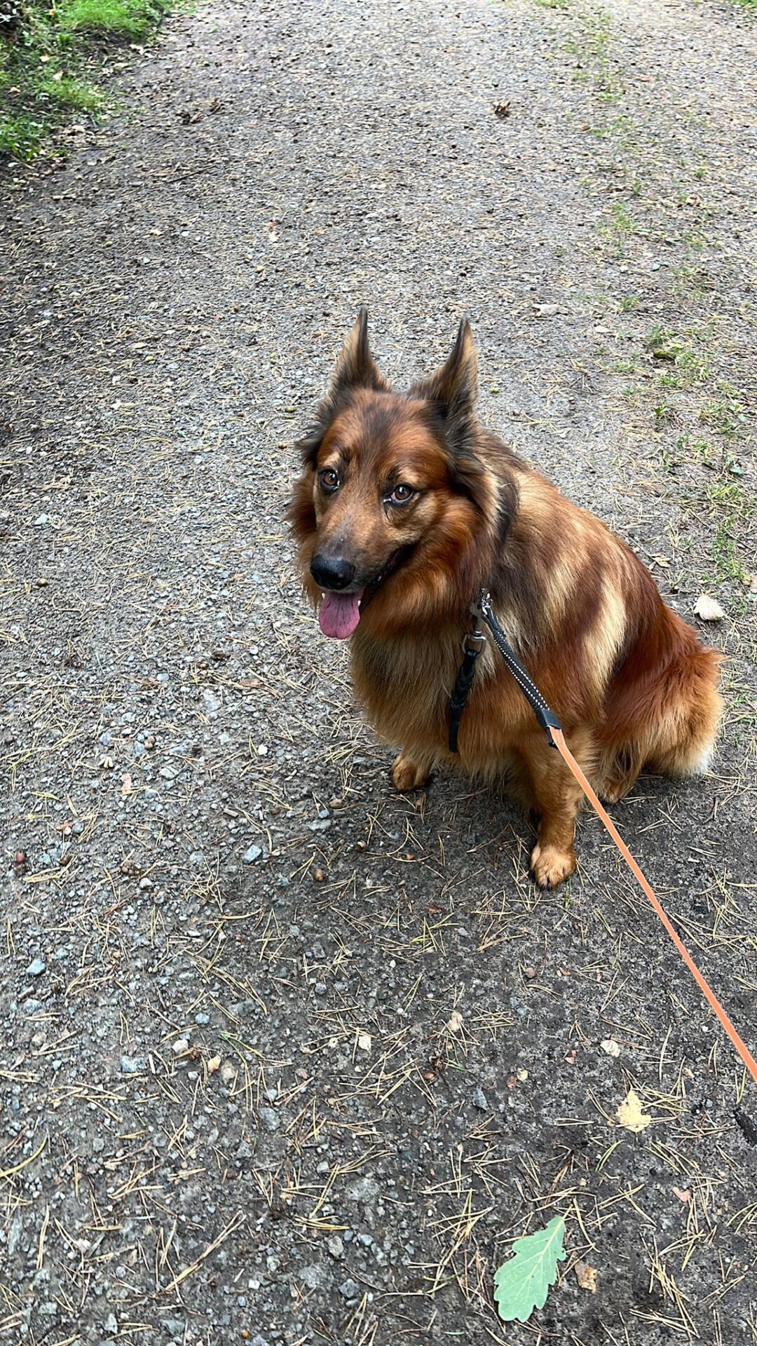 PHOTO-2025-10-06-18-43-48