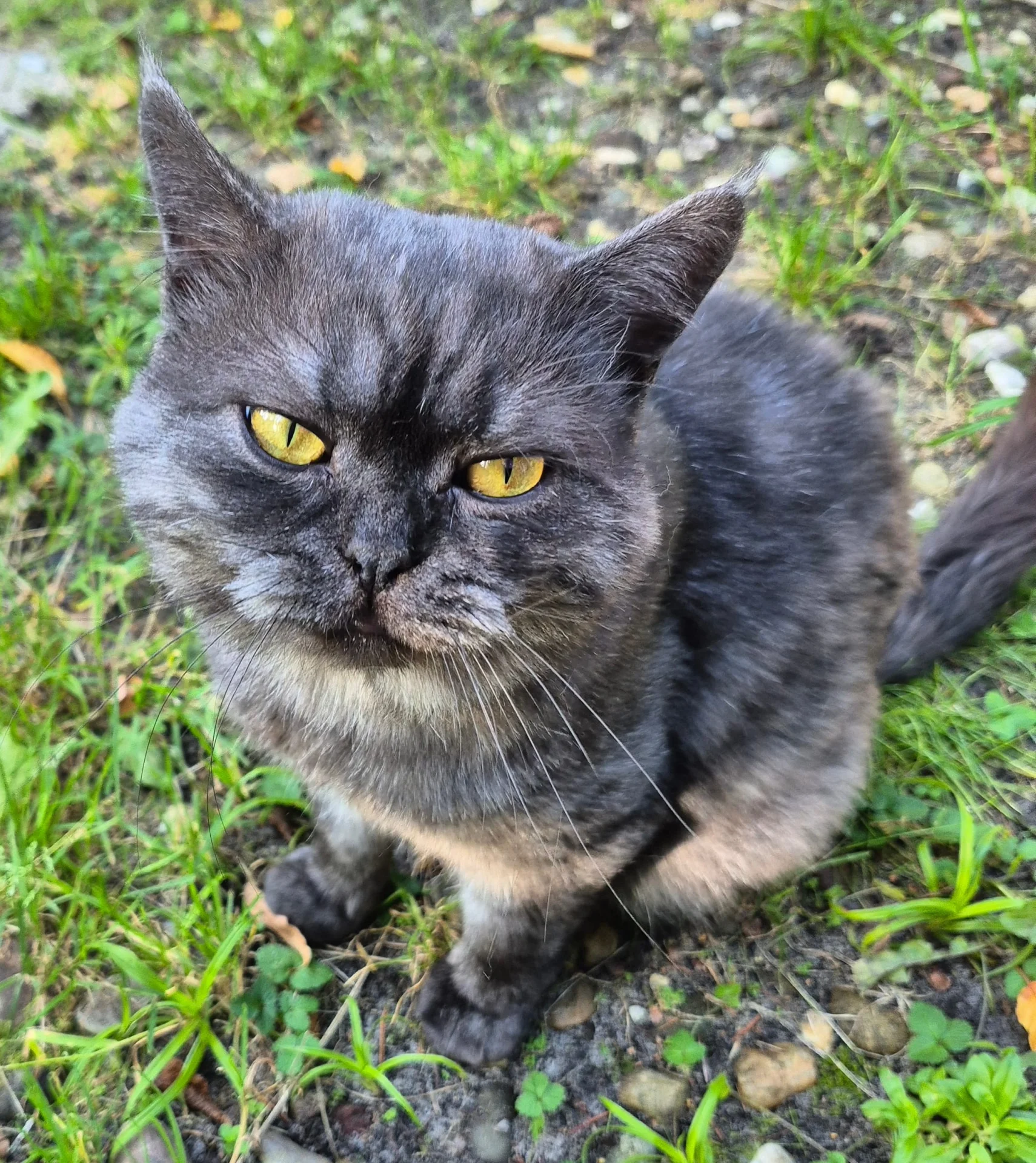 Minko 05