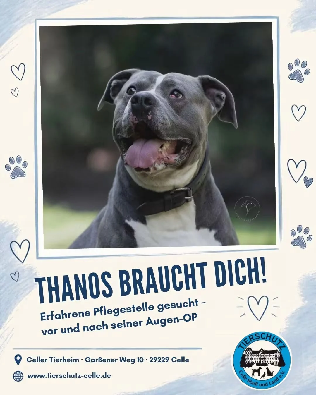 Thanos_Spende